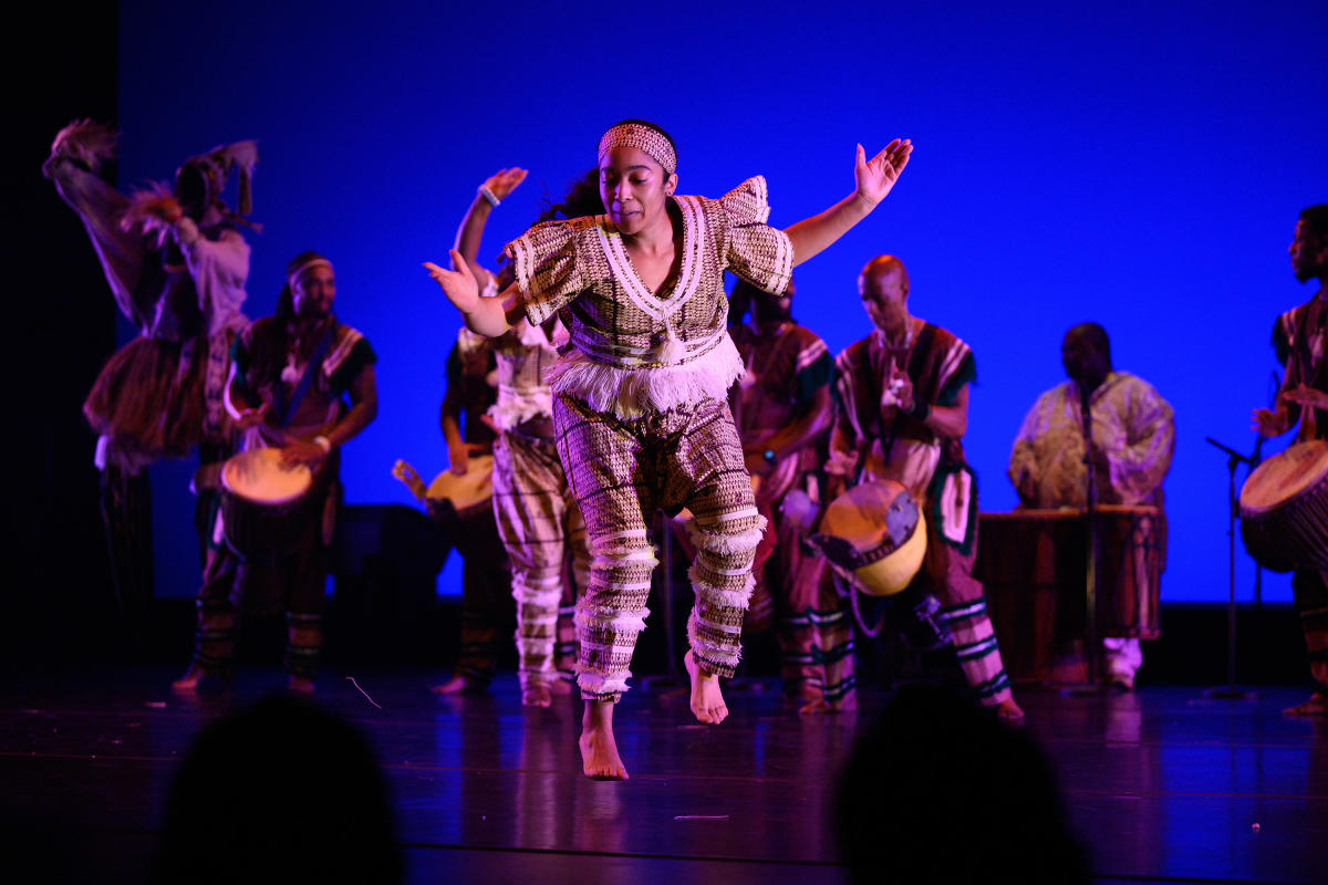 dance-africa-bam-downtown-brooklyn-nyc-photo-nate_palmer-05