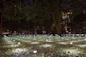 whiteout_erwinredl_madisonsquarepark_manhattan_nyc_credit_rashmi_gill