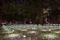 whiteout_erwinredl_madisonsquarepark_manhattan_nyc_credit_rashmi_gill