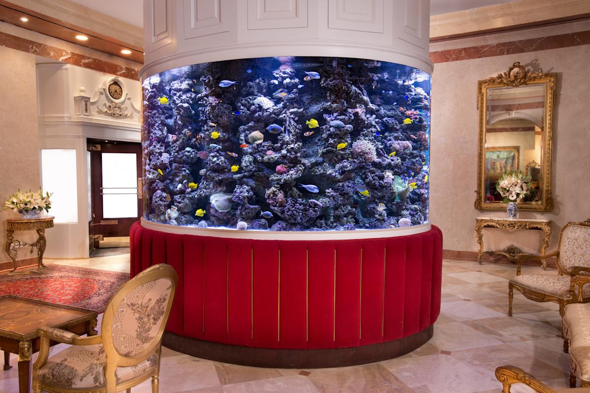 kimberly_03_06_14_lobby_fish