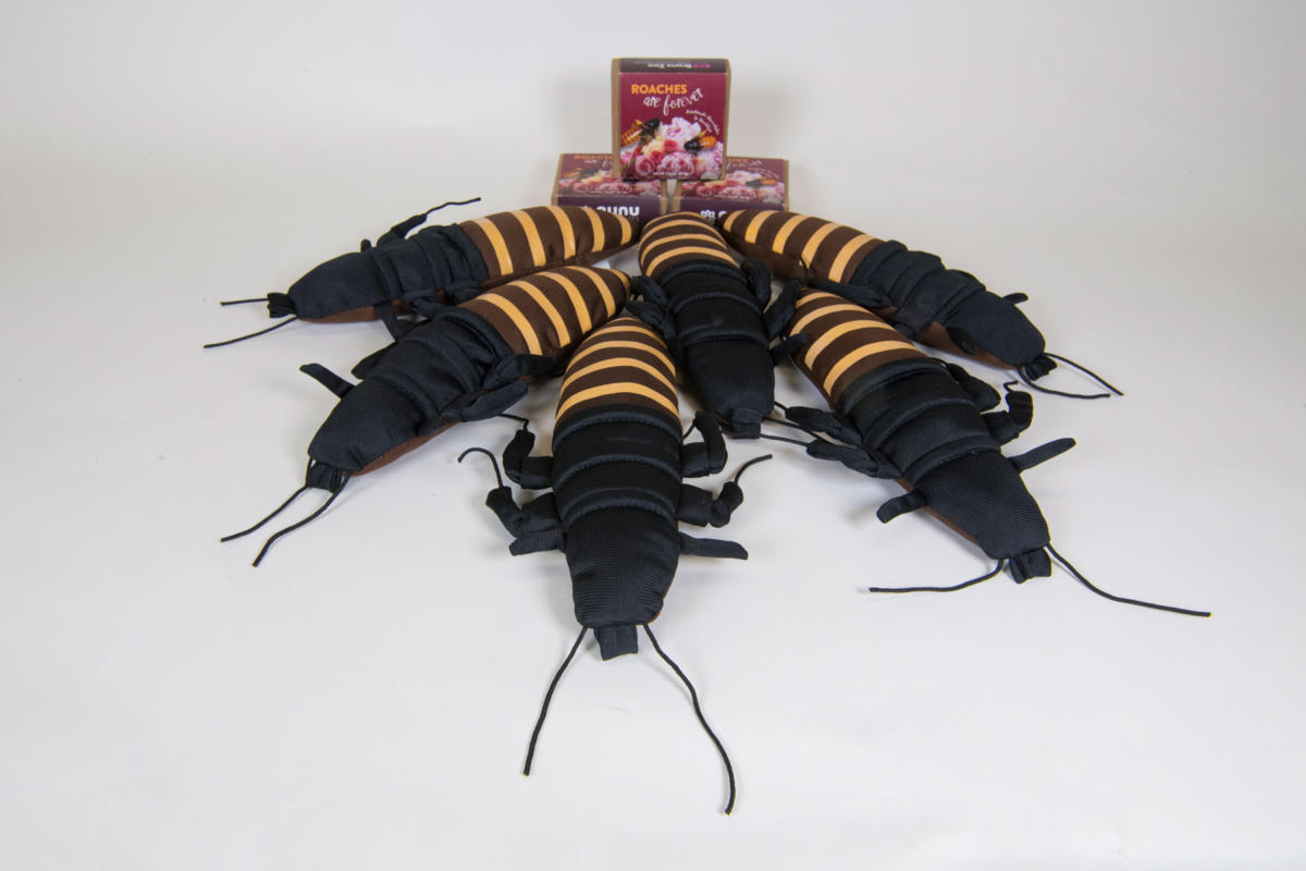 _julie-larsen-maher_0768_plush-and-chocolate-roach-incentive-gifts_01-23-16