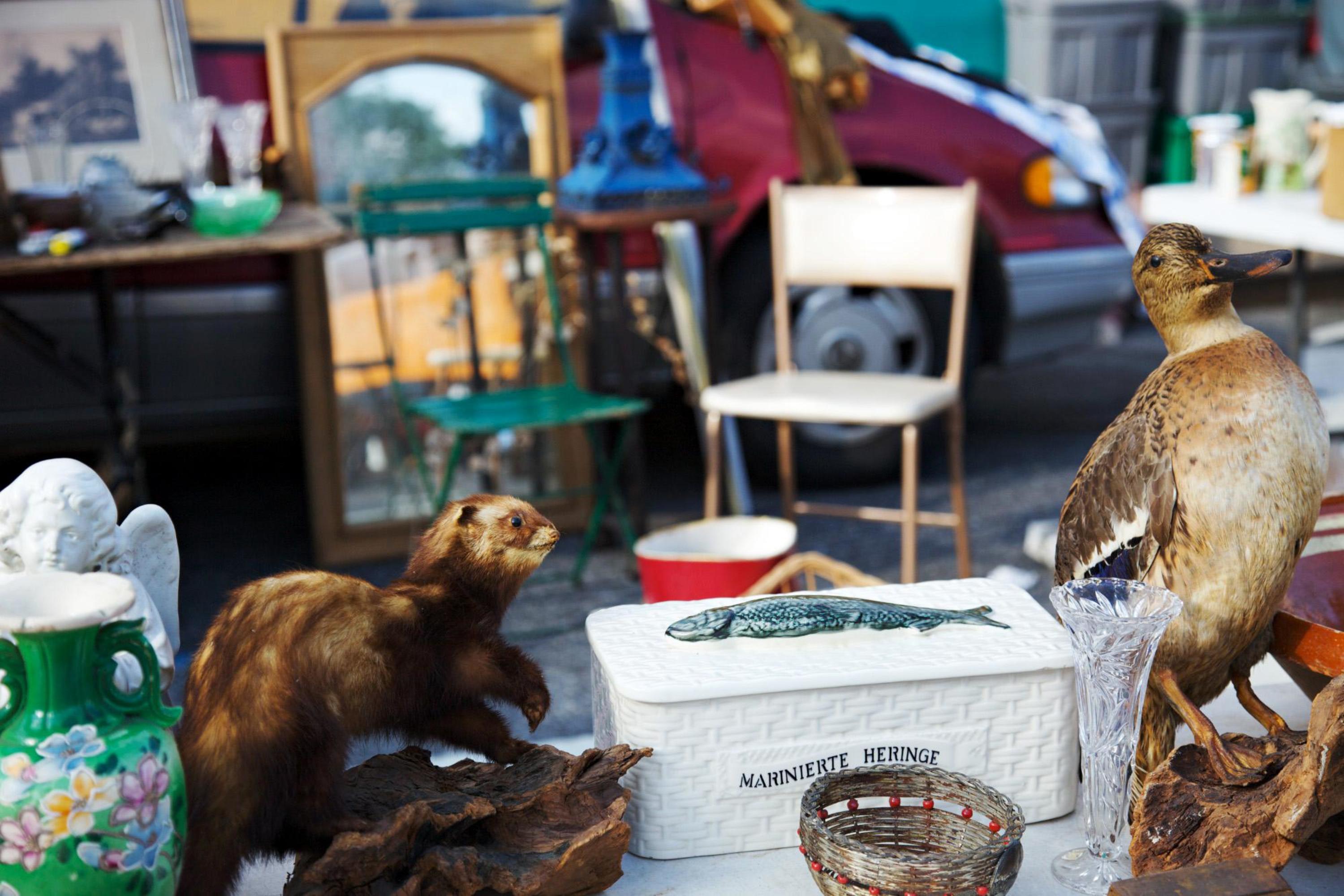 hkflea1_7d3c0e65-5056-a36f-235faf3525b4d23f