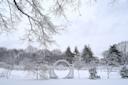 Queens Botanical Garden nyc