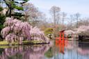 Brooklyn Botanic Garden in Brooklyn, NYC