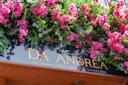 The image shows a restaurant sign for "Da Andrea Ristorante" with vibrant pink flowers cascading above it. The sign mentions the restaurant was established in 2001.