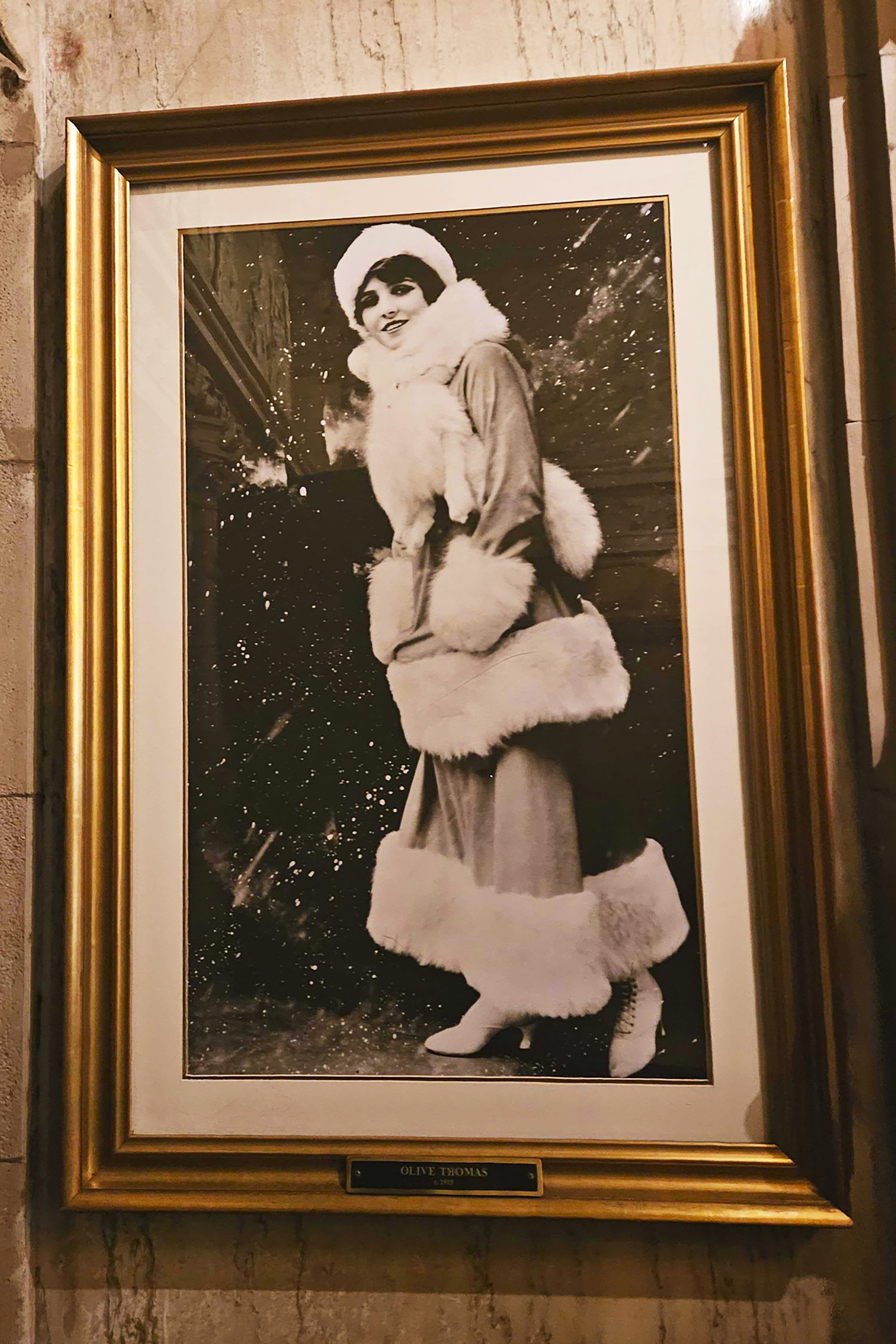 Ransom Riggs - Biblioteca de Almas, image size:3000x4499