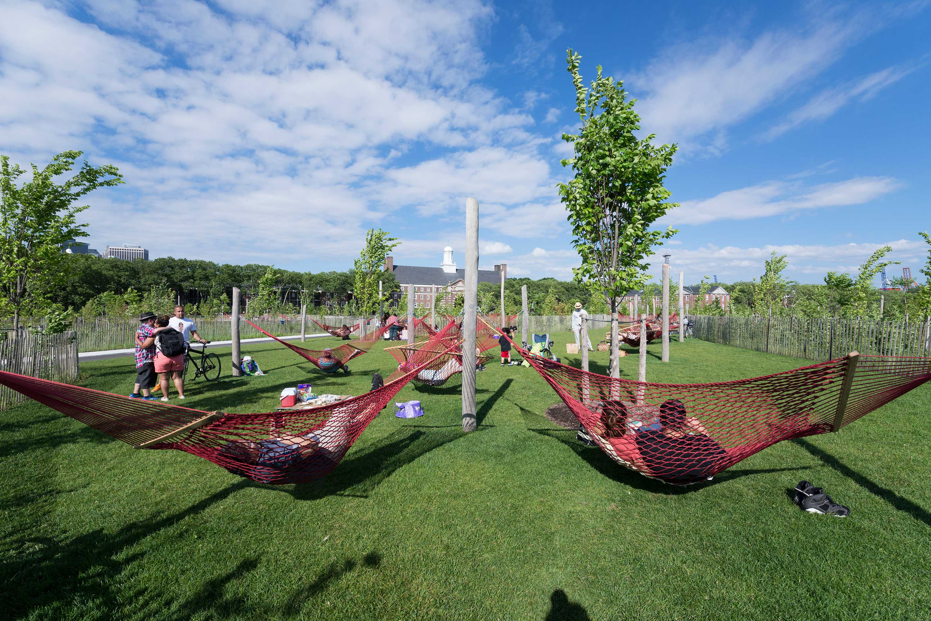 Governors Island, hammock