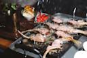 Lamb chops are sizzling and being seasoned on a grill pan, with water or oil splashing. In the background, there are cherry tomatoes, salad greens, a loaf of bread, and a metal jug on a wooden board.
