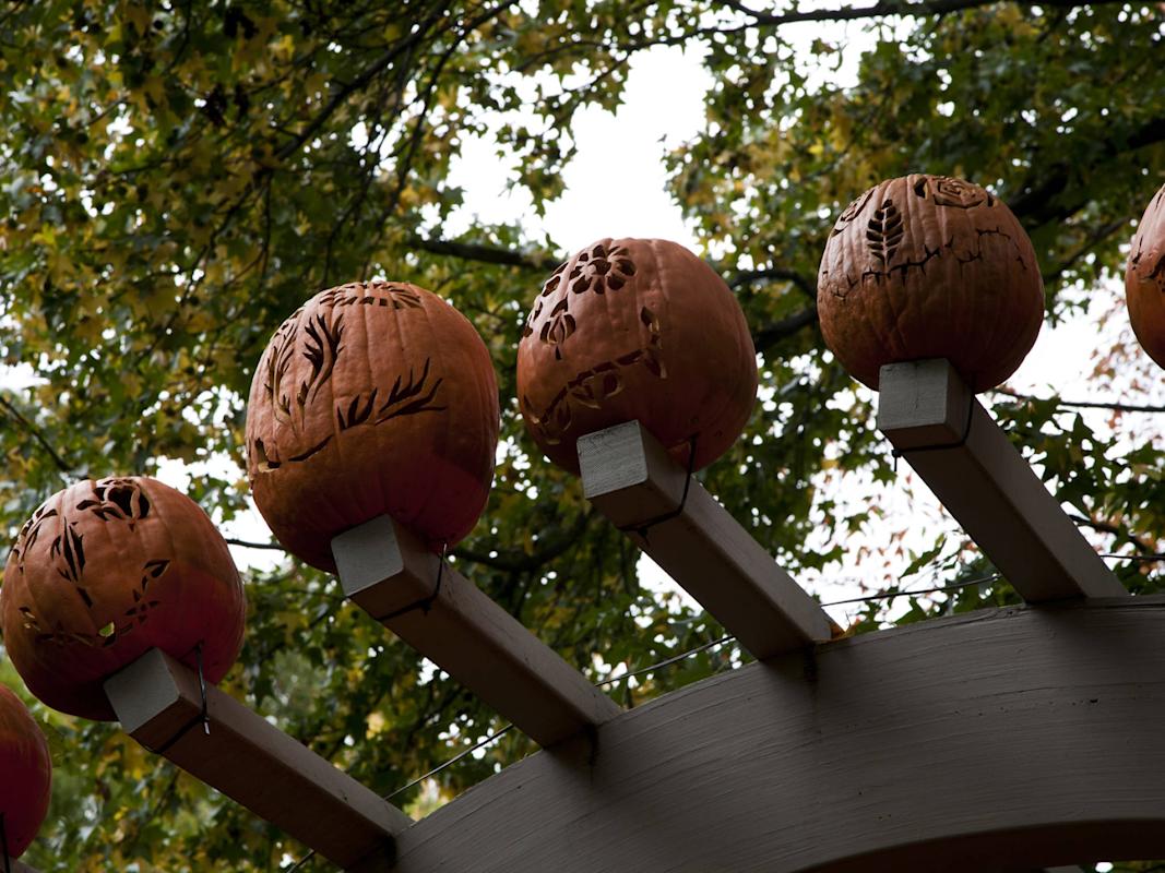 Photograph: Beth Levendis