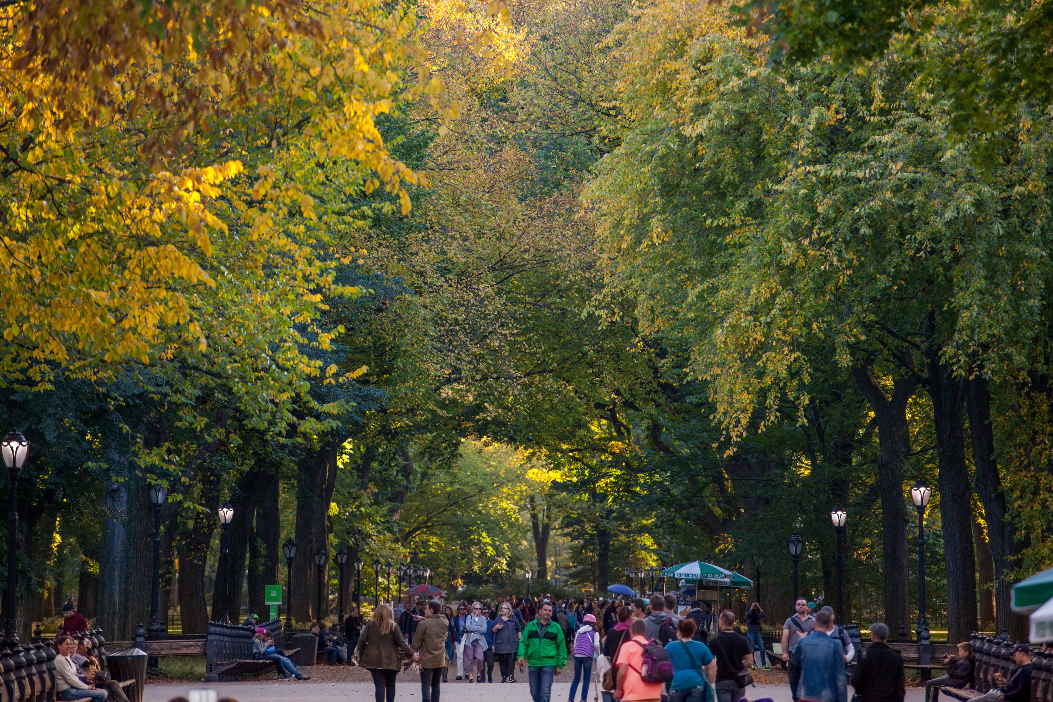 08_centralpark_christopherpostlewaite_0459