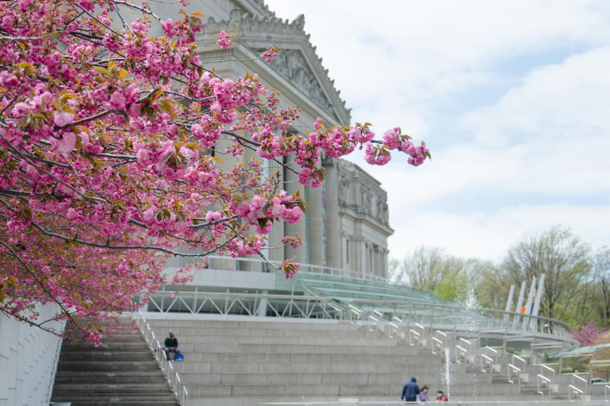 Brooklyn-Museum-Brooklyn-NYC-Photo-Khamaali-Vernon.jpg