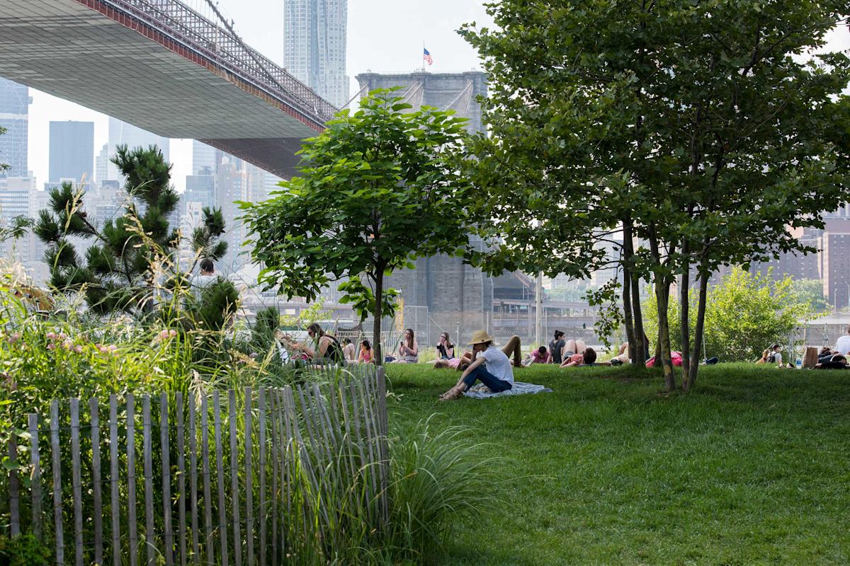 People sitting in the grass in Brooklyn Bridge Park, Brooklyn, NYC