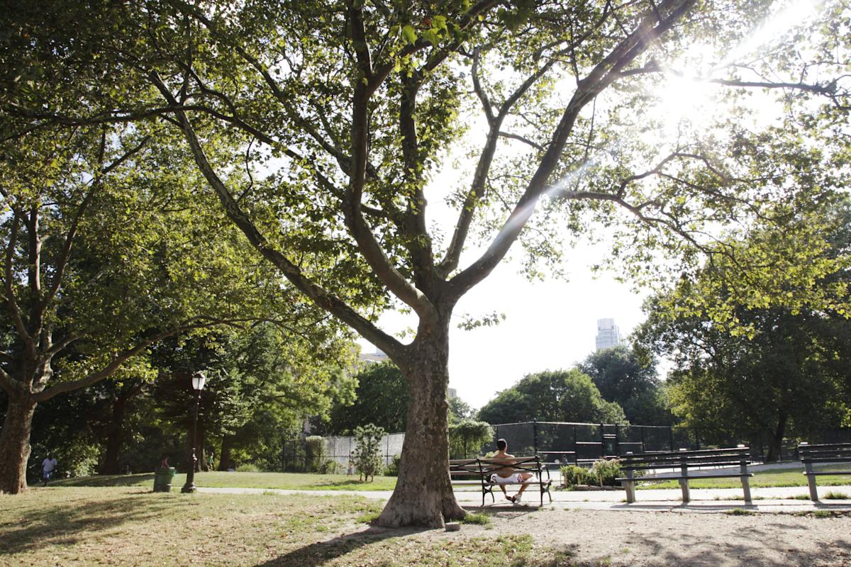 Fort Greene Park