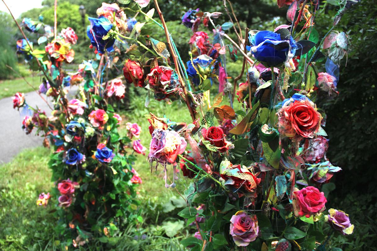 Photo: Anne Tan-Detchkov