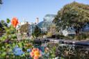 Brooklyn Botanic Garden in Brooklyn, NYC
