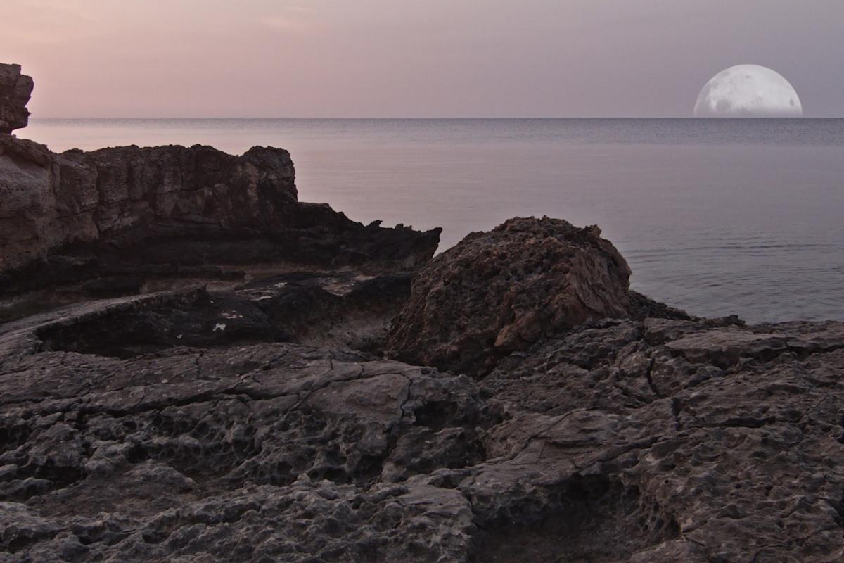  Amalie Smith, Clay Theory (2019) (still). Courtesy, Amalie Smith