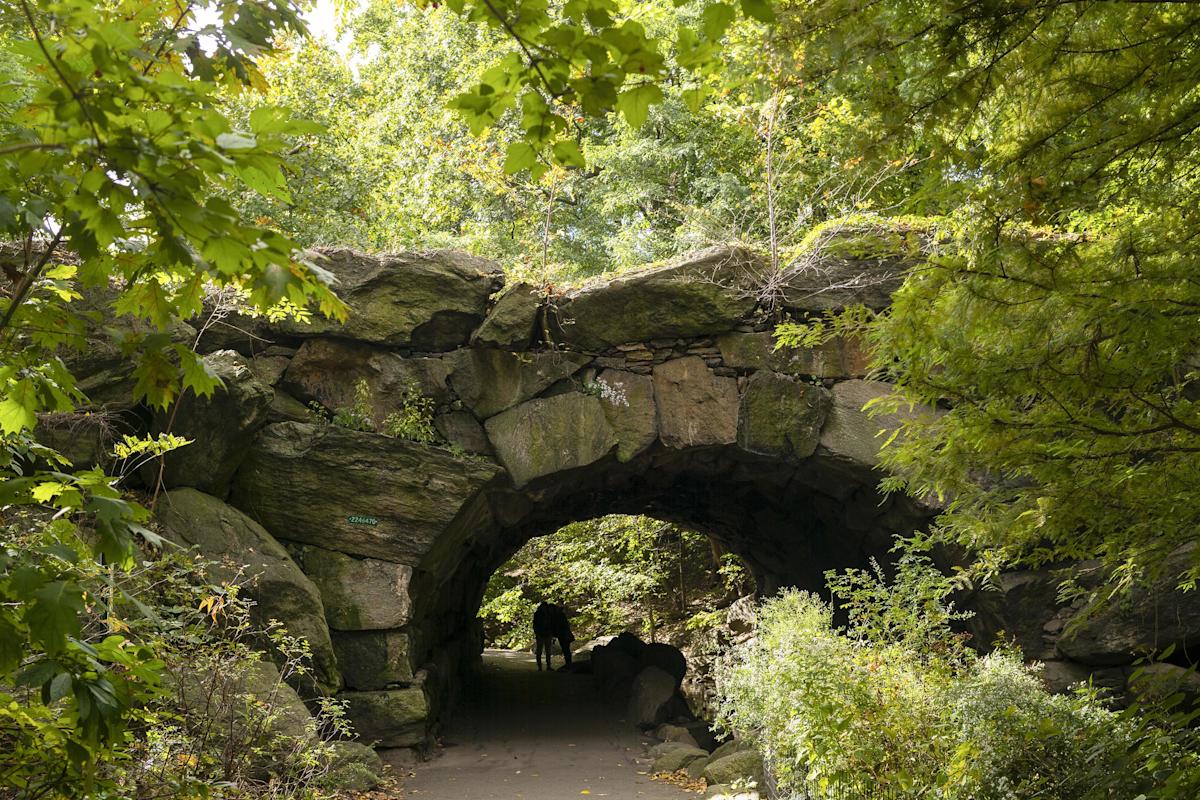 huddlestone-arch-central-park-midtown-manhattan-photo-grace-tyson-nyc-and-company-8666huddle_l1008804