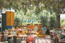 A bright, airy restaurant with leafy green plants and citrus trees, colorful cushions on chairs, and tables set for dining. Sunlight streams in, creating a cheerful, inviting atmosphere.
