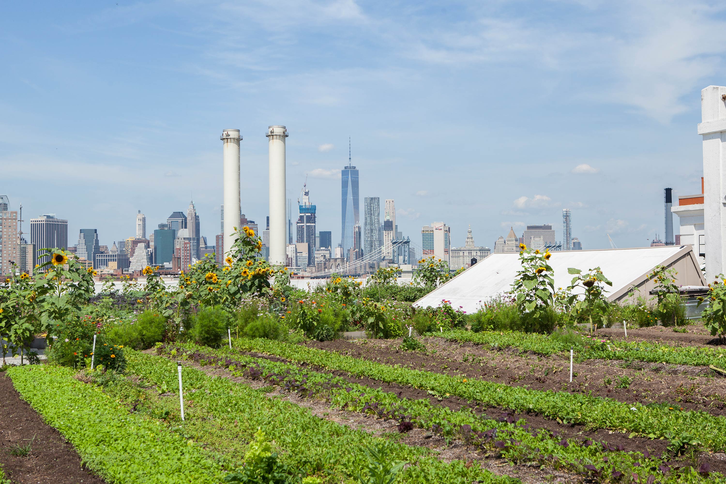 Brooklyn Navy Yard. Photo: Christopher Postlewaite