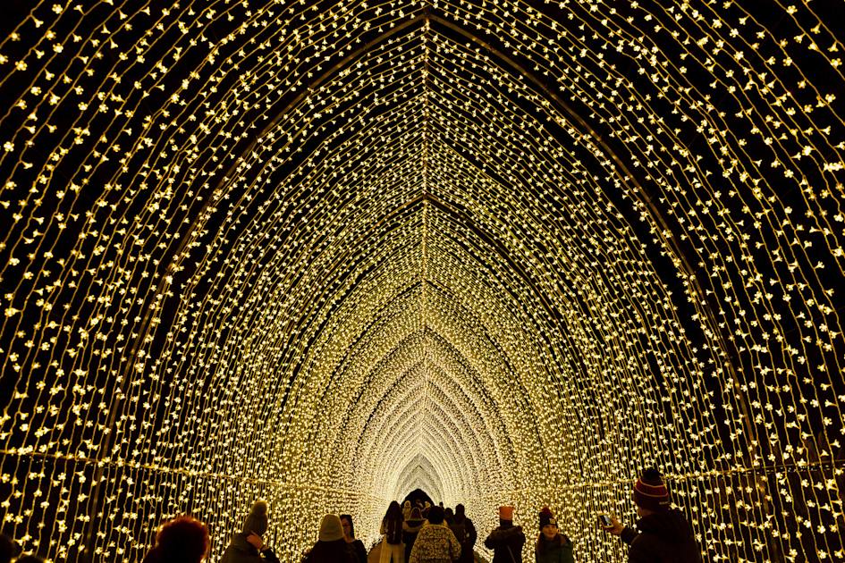 Lightscape at Brooklyn Botanic Garden