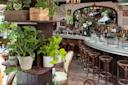Chic bar interior with wooden stools around a curved bar counter. The bar is adorned with decorative plants and glassware, under soft lighting. Shelves hold potted plants, adding a touch of greenery to the cozy atmosphere.