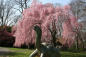 staten-island-zoo-staten-island-nyc-peacock-spring-courtesy