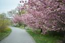 Queens Botanical Garden nyc