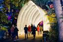 Lightscape-Brooklyn-Botanical-Garden-Brooklym-NYC-Photo-Courtesy-Brooklyn-Botanical-Garden-3.jpg