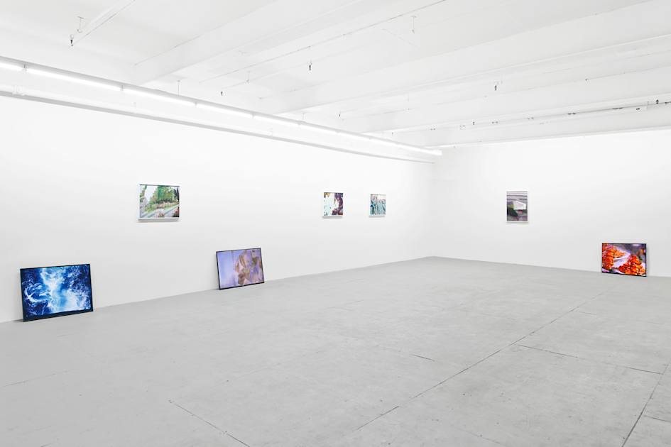 Microscope Gallery Your Guide to NYC Tourism