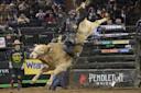 Person riding bull in bull riding event