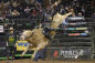 Pro-Bull-Riders-MSG-Manhattan-NYC-Courtesy-Bull-Stock-Media-23-LIVE 102-945.jpg