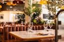 A stylish restaurant dining area with brown leather booths, marble tables set with glasses, plates, and cutlery, surrounded by lush green plants and warm ambient lighting.