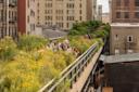 People in The Highline in Manhattan, NYC