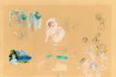 A beige canvas featuring multiple incomplete and overlapping sketches and paintings of women, some nude, with soft, pastel colors and delicate lines, alongside small landscapes and faces in various poses and expressions.