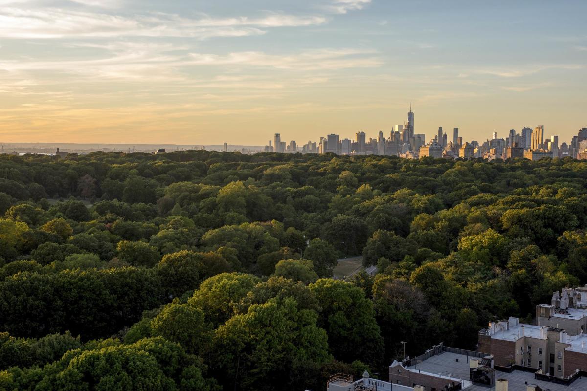 prospect-park-brooklyn-nyc-julienne-schaer-003