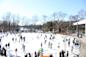 A bustling outdoor ice skating rink filled with people skating on a sunny winter day. The scene is surrounded by bare trees and a clear blue sky in the background. A building is visible to the right.