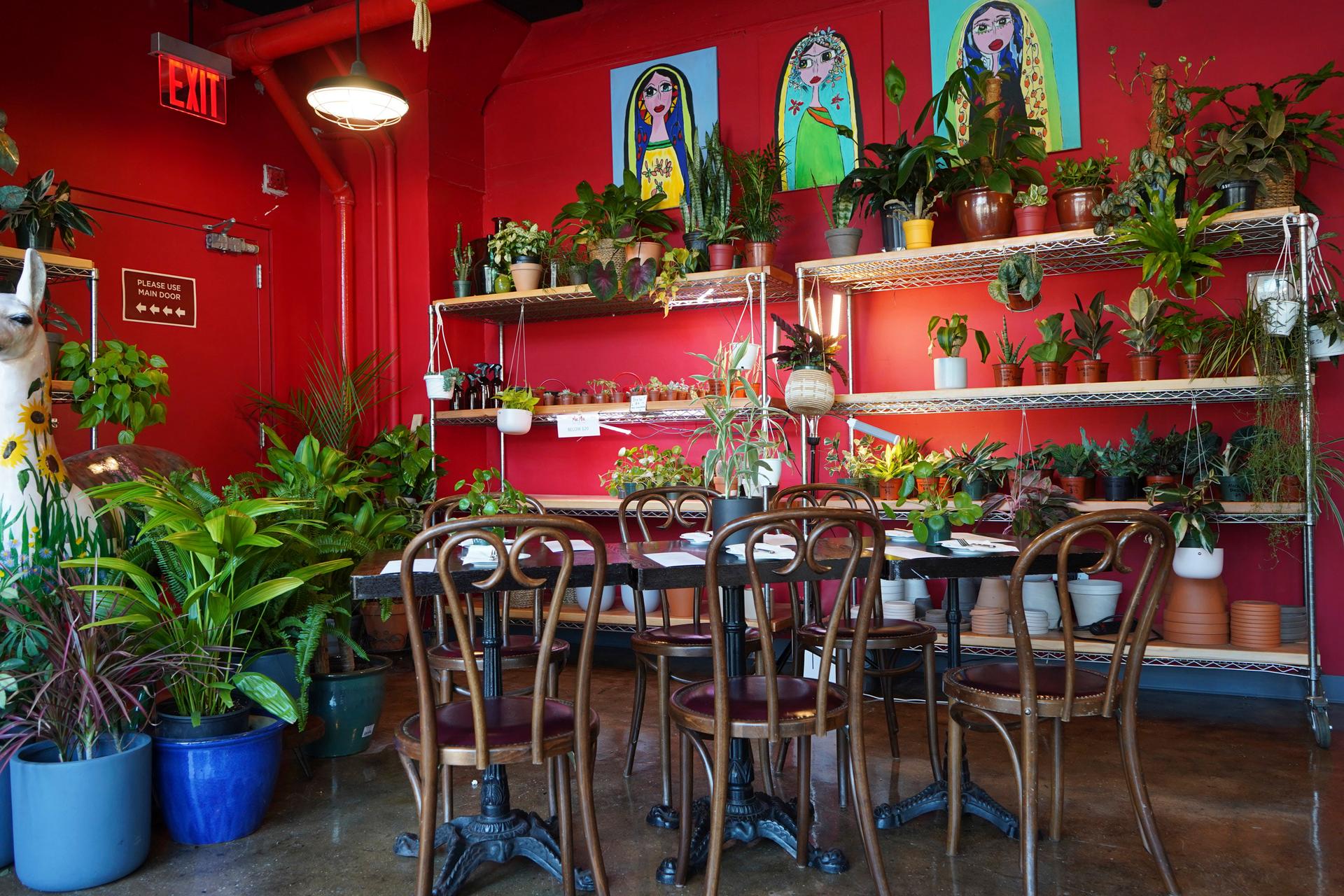 Mae-Mae-Cafe-Bronx-NYC-Photo-Courtesy-Mae-Mae-Cafe.jpg