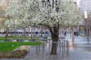 9-11 Memorial
