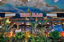 tiki-bar-close-up_b113ff17-d4e1-46a2-9f90f8147e1e6ca1_e7544a92-b984-41cf-87f1638e5df77710.jpg