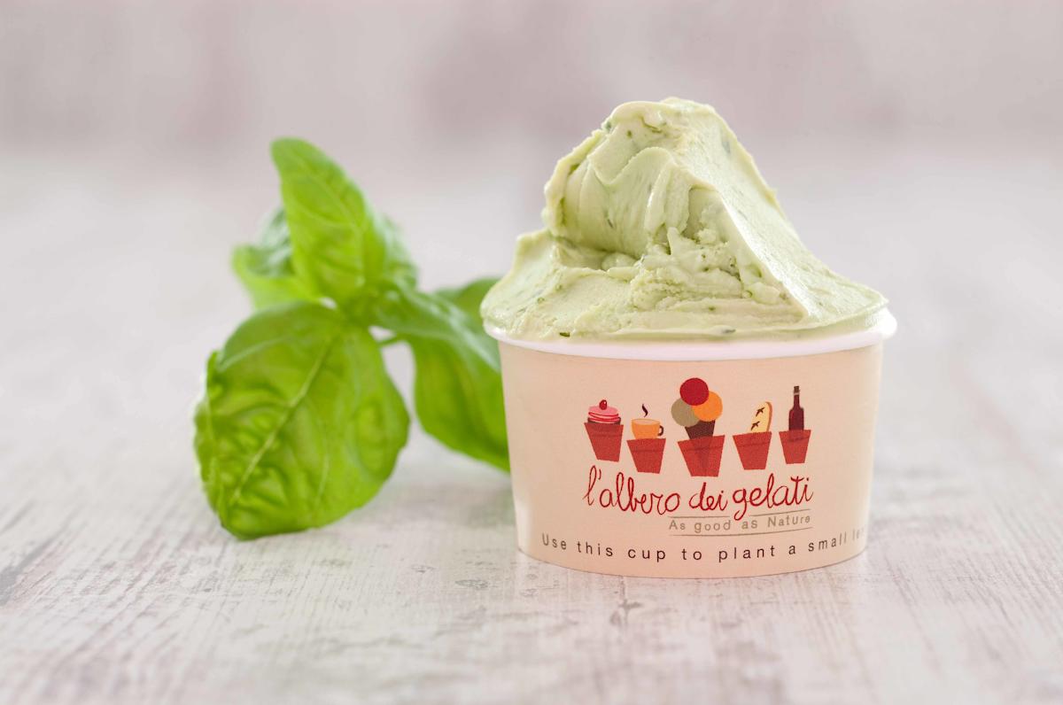 Albero dei gelati, basil