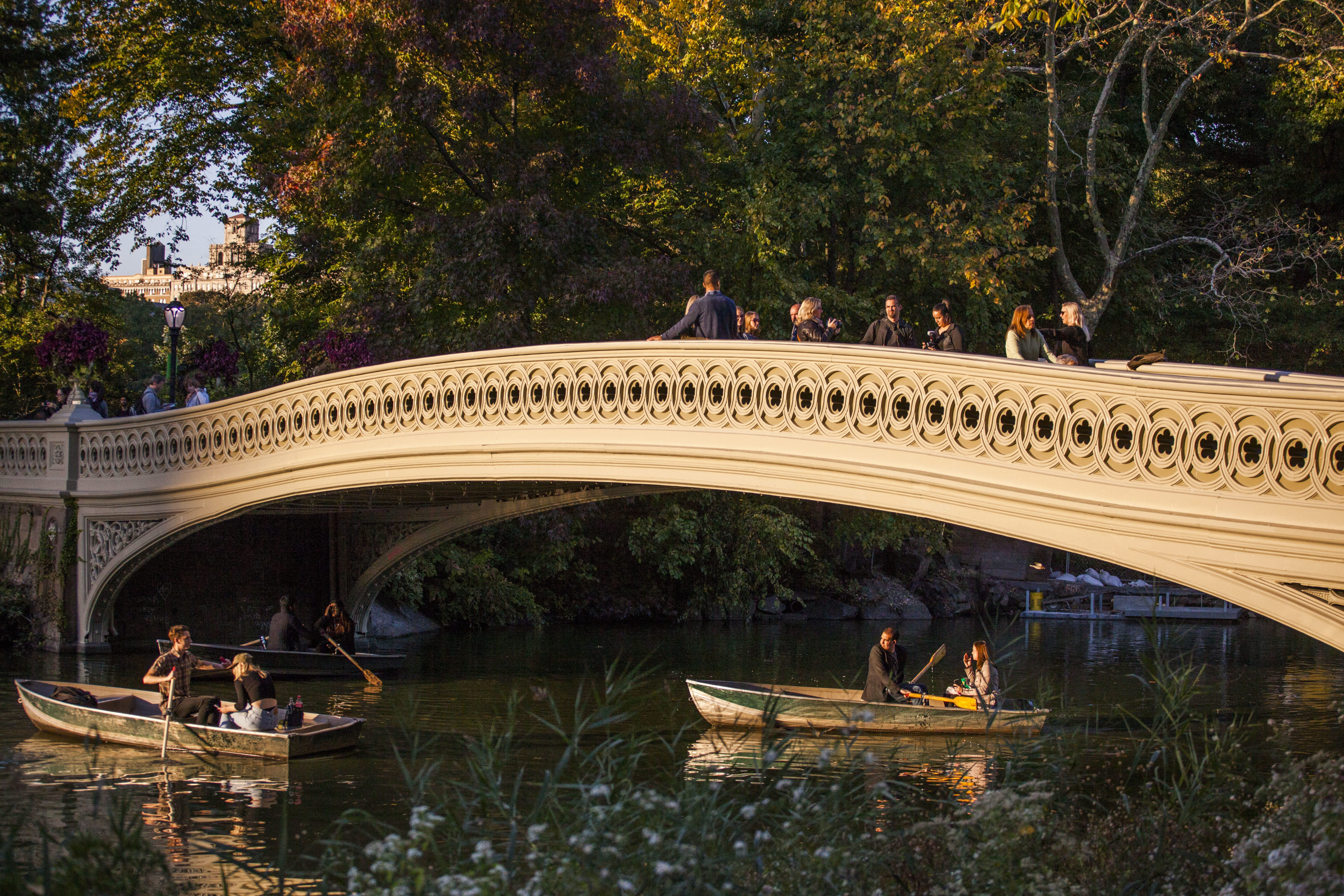 centralpark_christopherpostlewaite_0630