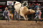 pro-bull-riders-nyc-courtesy-bull-stock-media