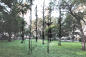 madiosn-square-parlk-ghost_forest_06