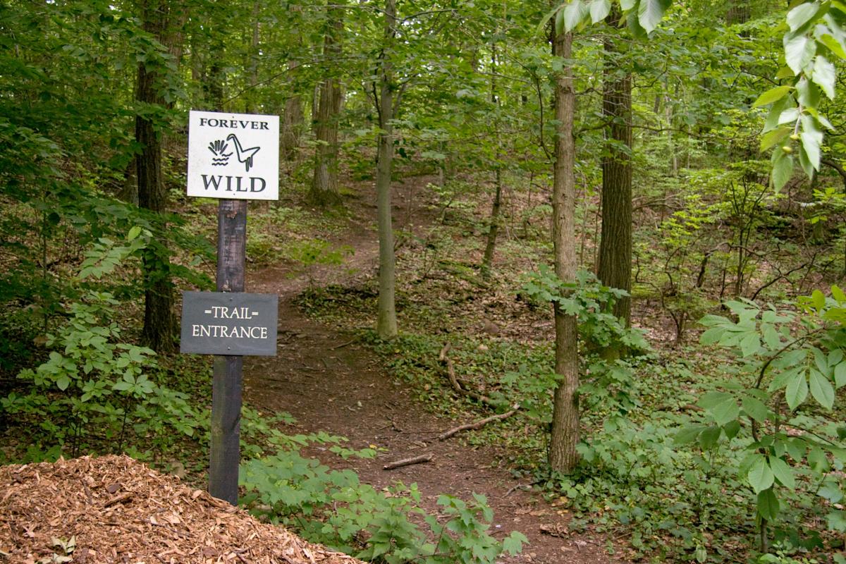 A trail in Greenbelt 