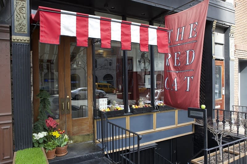 The Red Cat