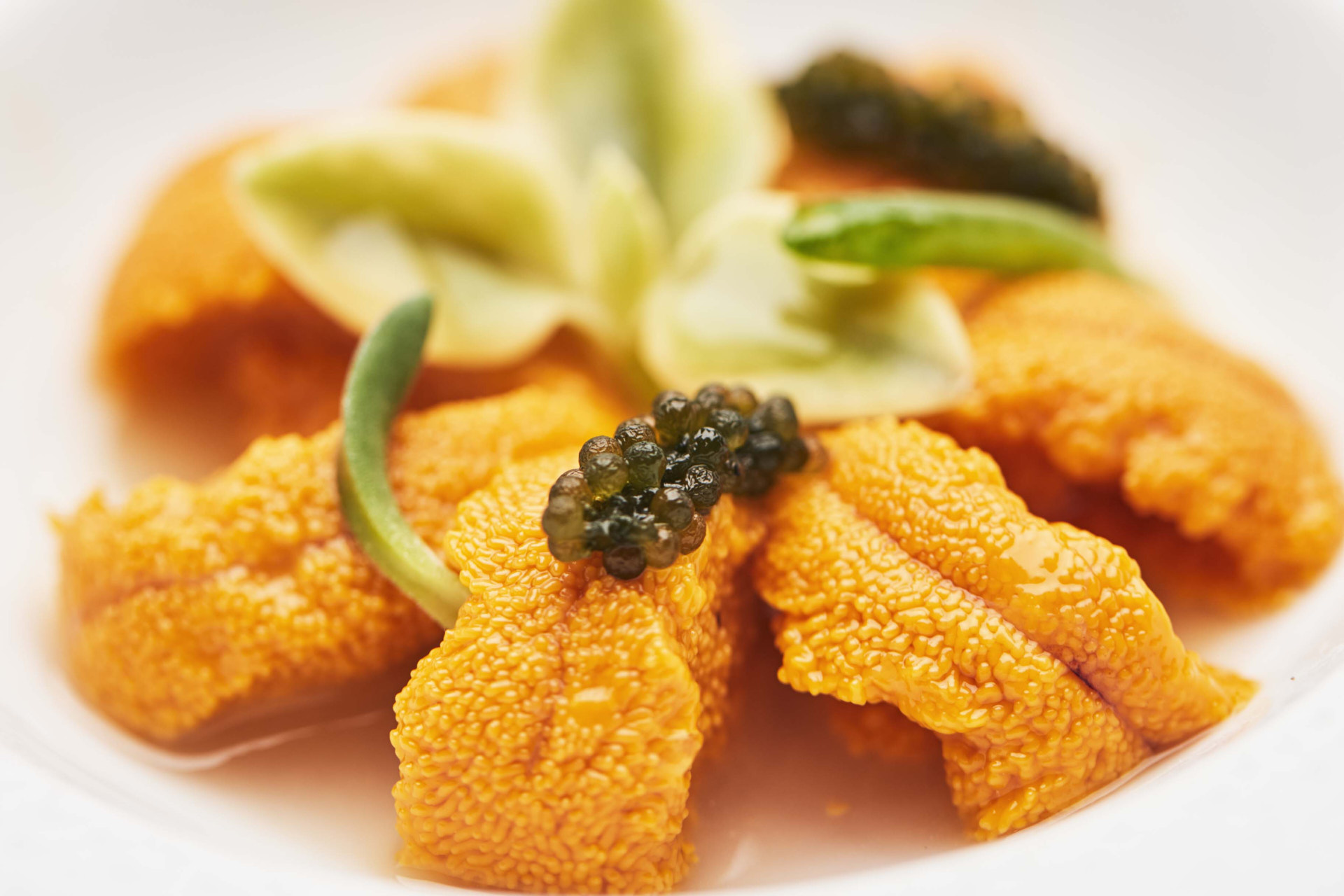 Le-Bernardin-Manhattan-NYC-Photo-Nigel-Parry-2.jpg