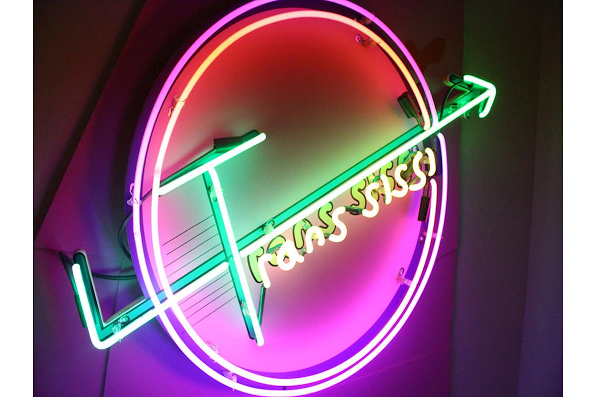 "Trans-sissi" (2015), by Oree Holban. Courtesy, Museum purchase Collection of Leslie-Lohman Museum