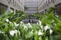 frieze_sculpture-rockefeller-center-channelgardens-public-art