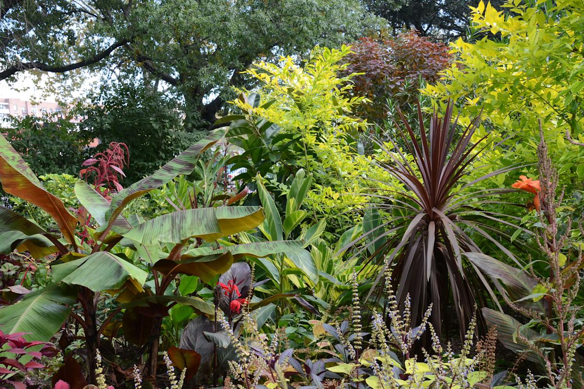 queensbotanicalgarden_flushing_queens_nyc_summer-tropical-bed_credit-jess-brey_13052f1f-5e76-42fb-90caa8c01a6f29ef_07753fd0-efe5-41a9-86b7058a1ed34372