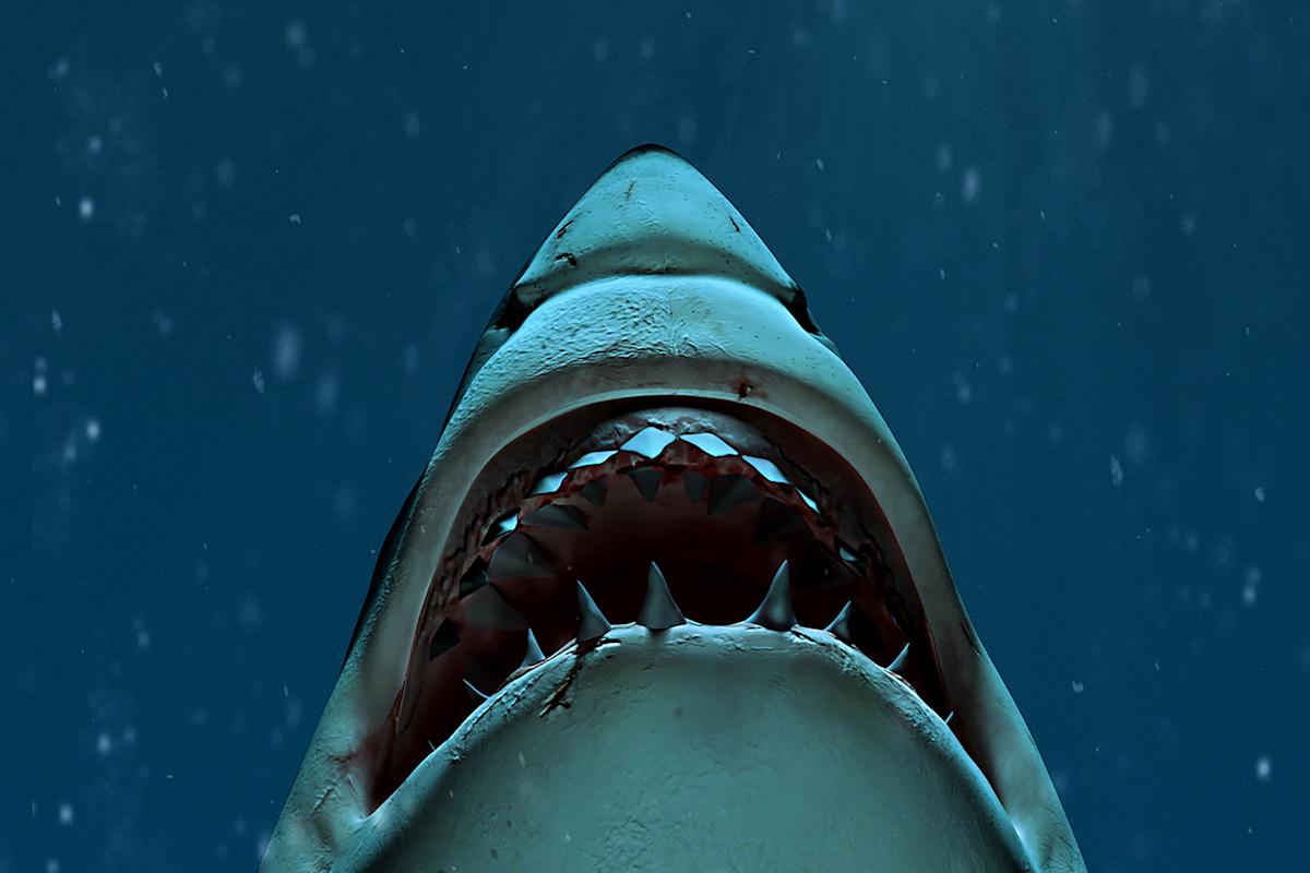 Courtesy, The American Museum of Natural History 